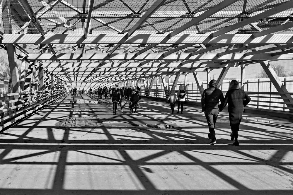 Дневные тени