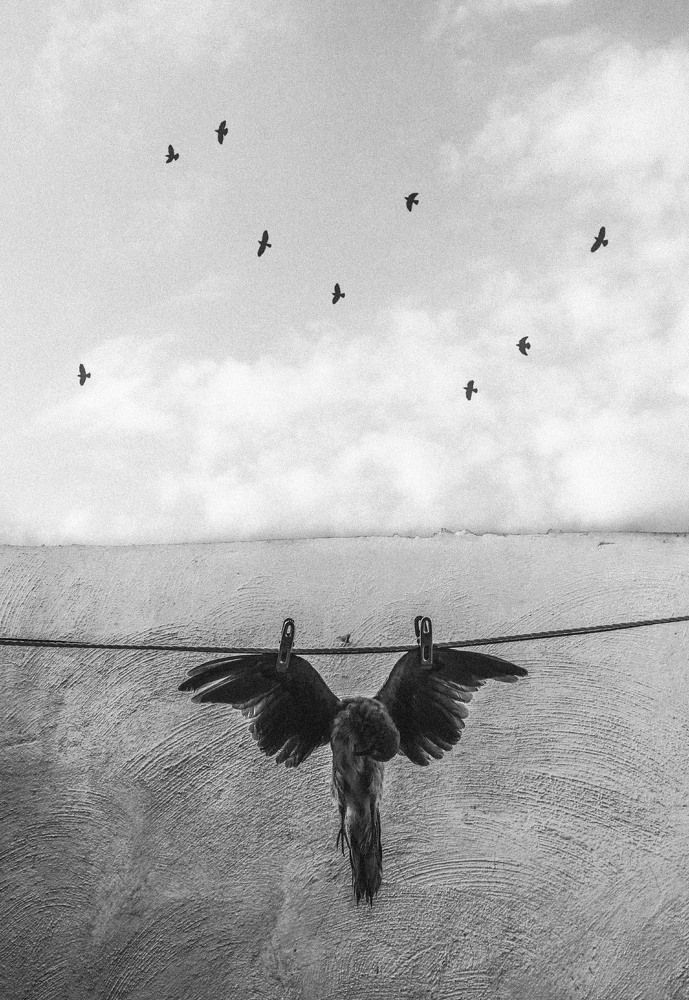 Фотография автора arabzadeh hossein