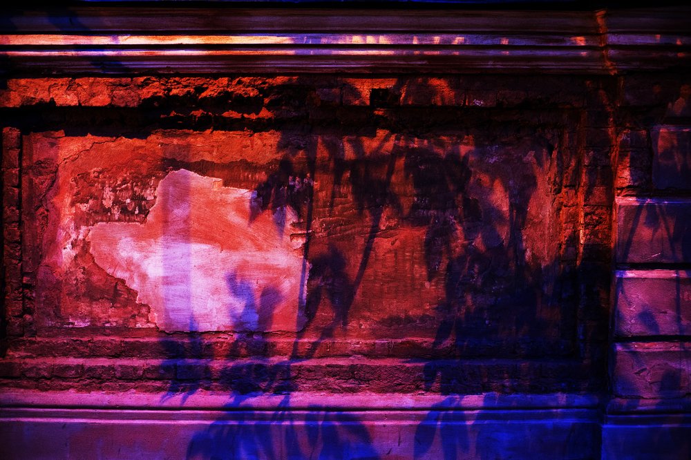 Photograph by Алексей Егоров