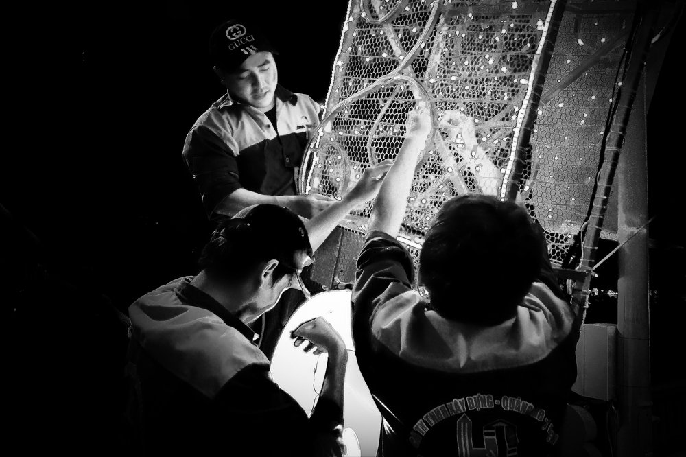 Photograph by Vy Van Bui