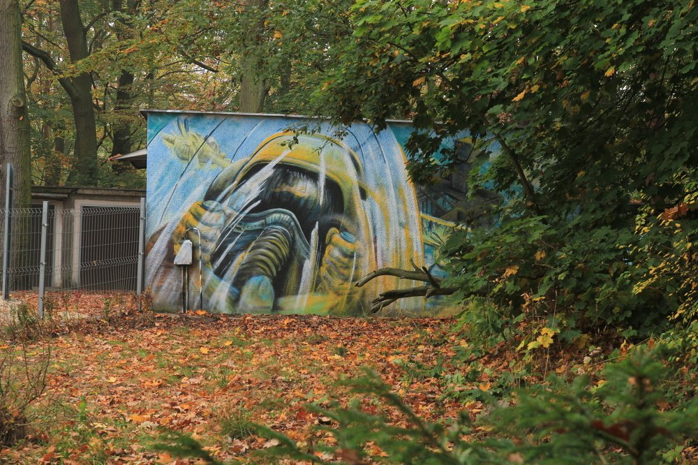 Photograph by Barbara Podlecka