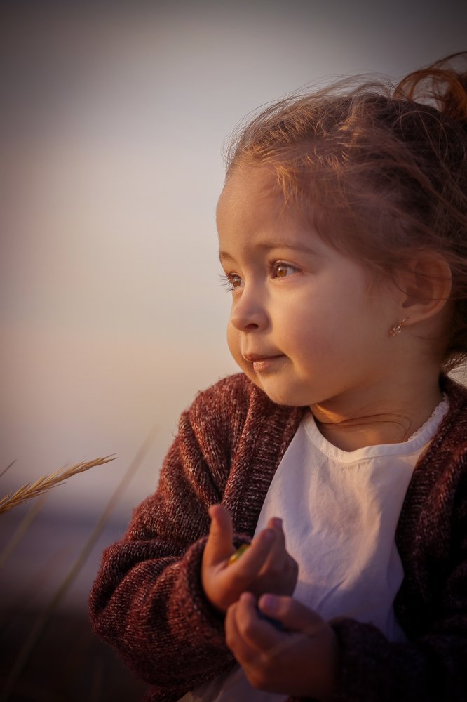 Вечер на заливе