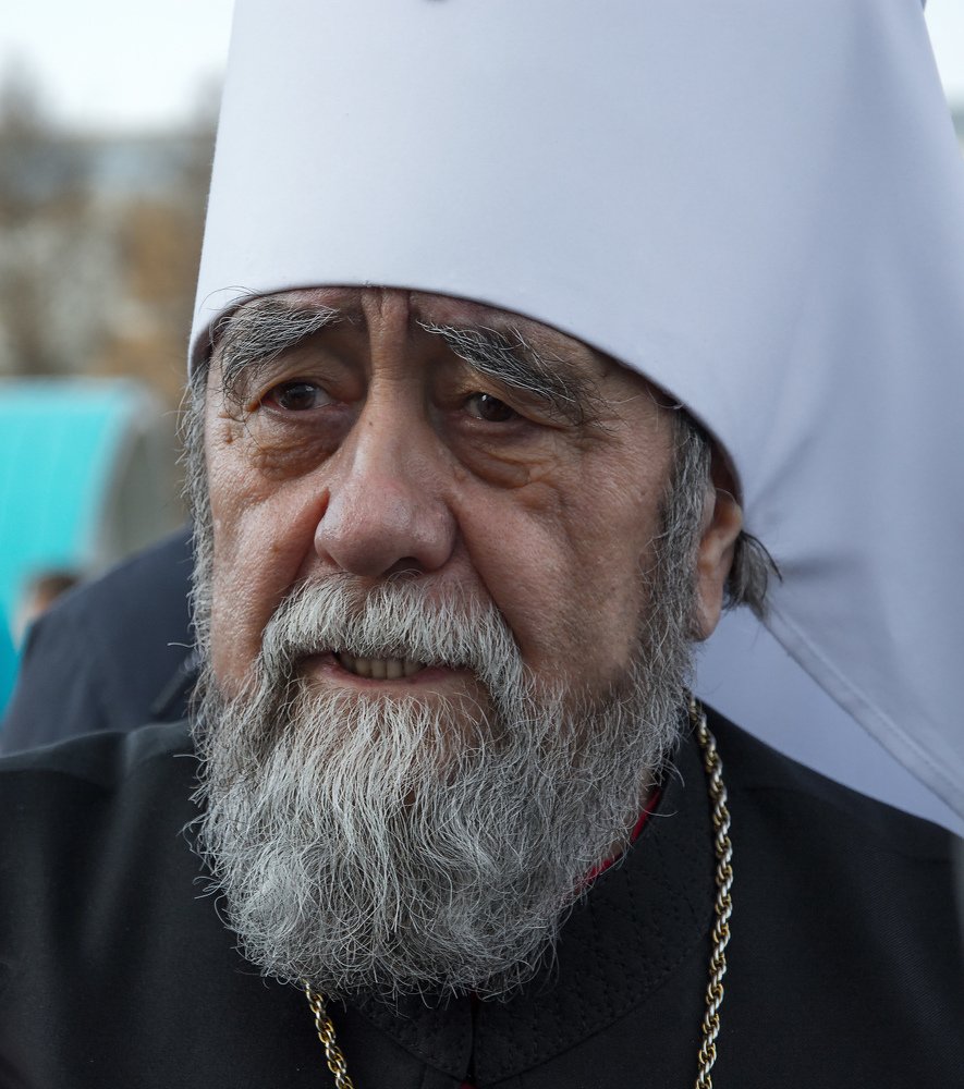 Митрополит Влдадимир