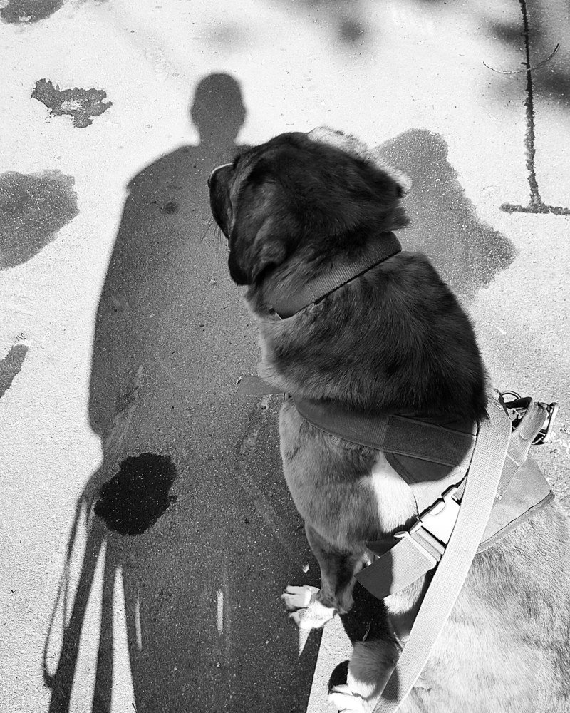 Всегда рядом