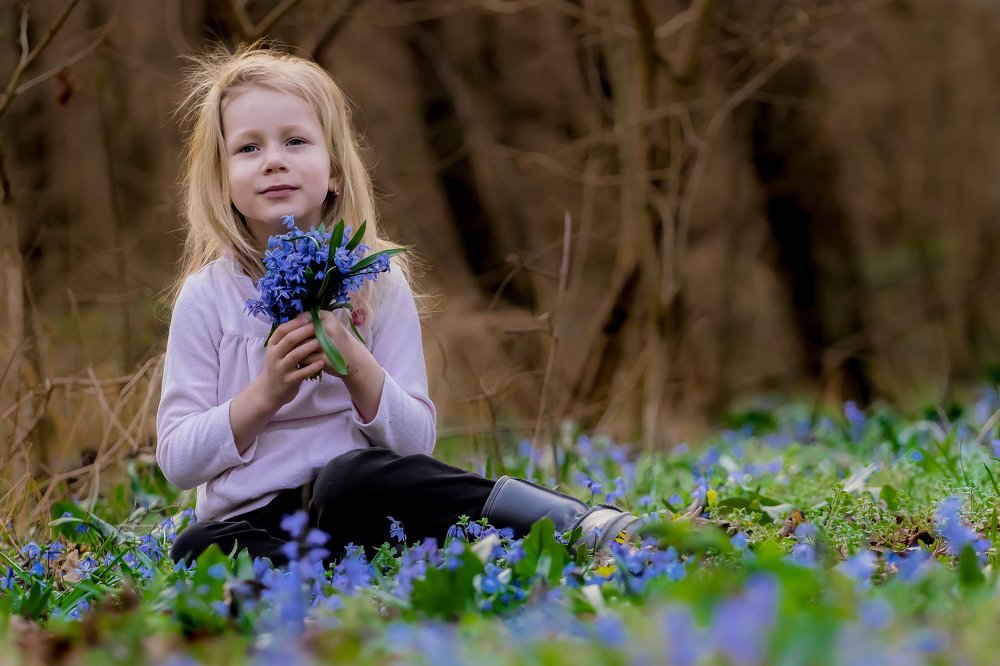 Синеглазых пролесок букет...