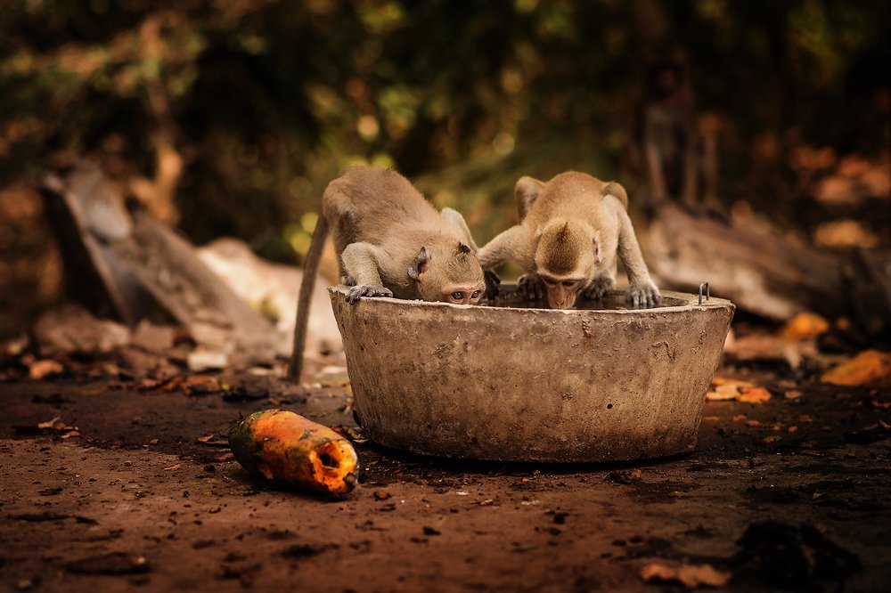 Фотография автора Юлия Кузьмина