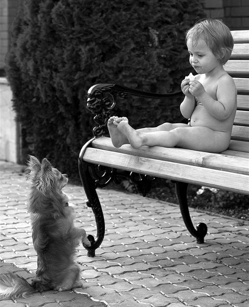 Служить бы рад*