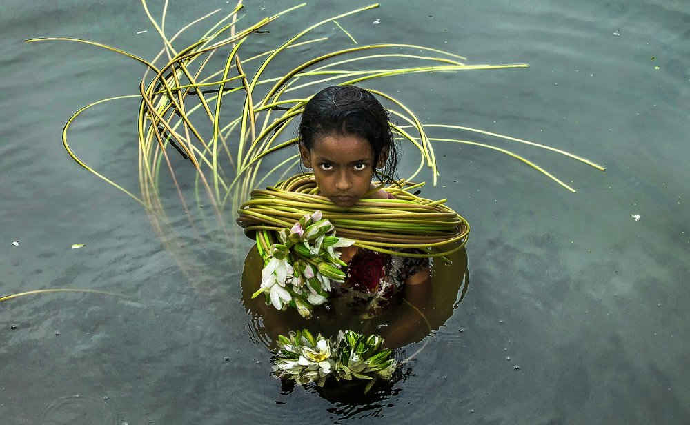 Photograph by Ehsanul Siddiq Aranya