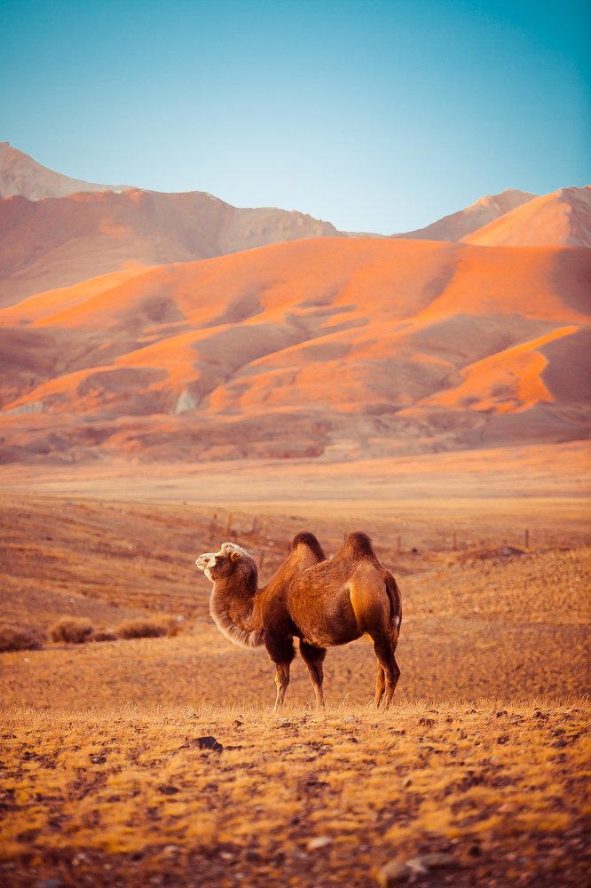 Photograph by Лобачев Юрий