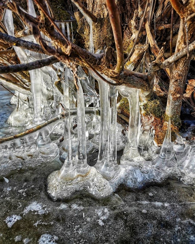 Photograph by Виктория Кузина