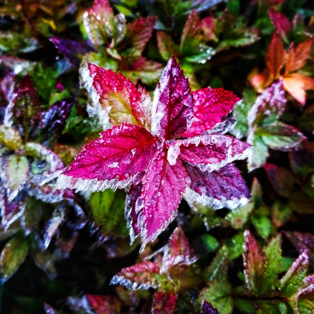 Photograph by Виктория Кузина