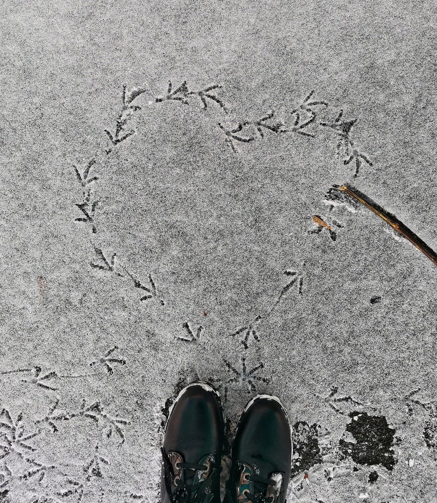 Photograph by Виктория Кузина