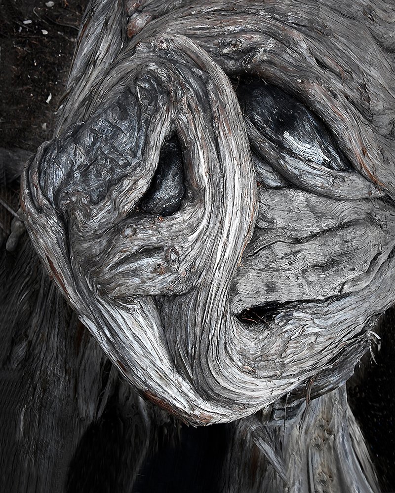 ИНОПЛАНЕТЯНИН