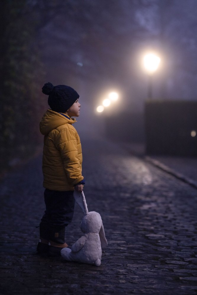 Туман опутал влажной ватой