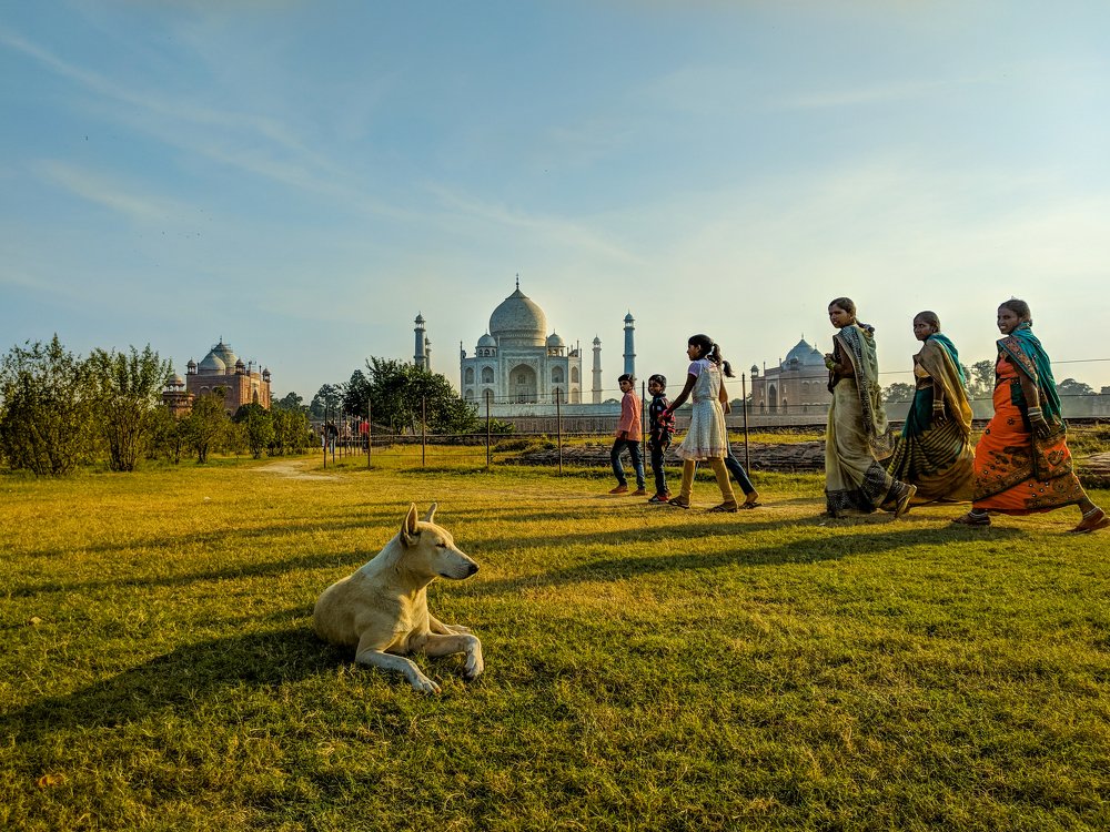 Some pictures tell stories