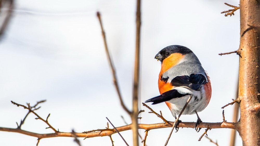 Photograph by Константин Ложеницын