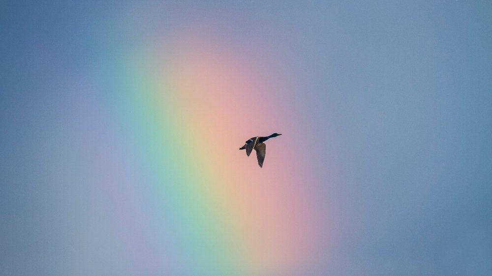 Photograph by Константин Ложеницын