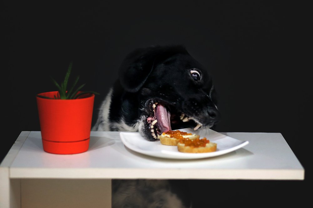 Photograph by Ольга Калимулина