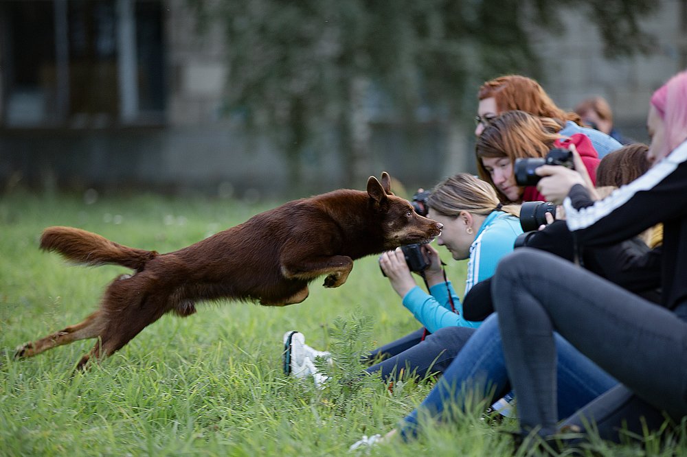 Photograph by Ольга Калимулина