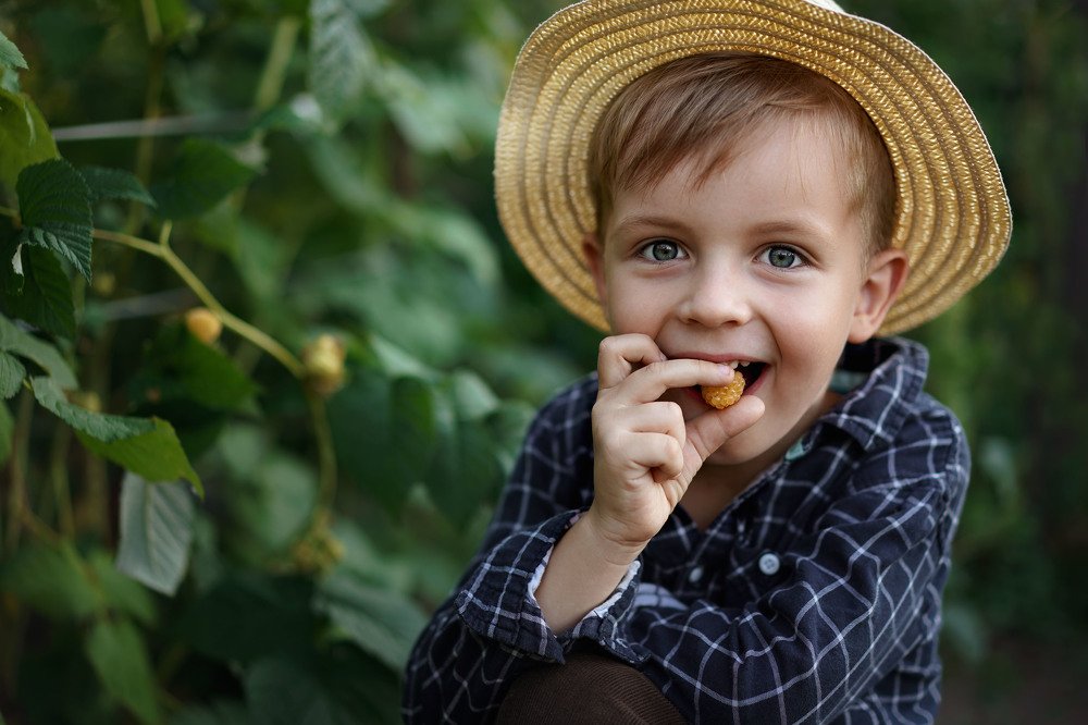 Малинки тоже бывают разные.