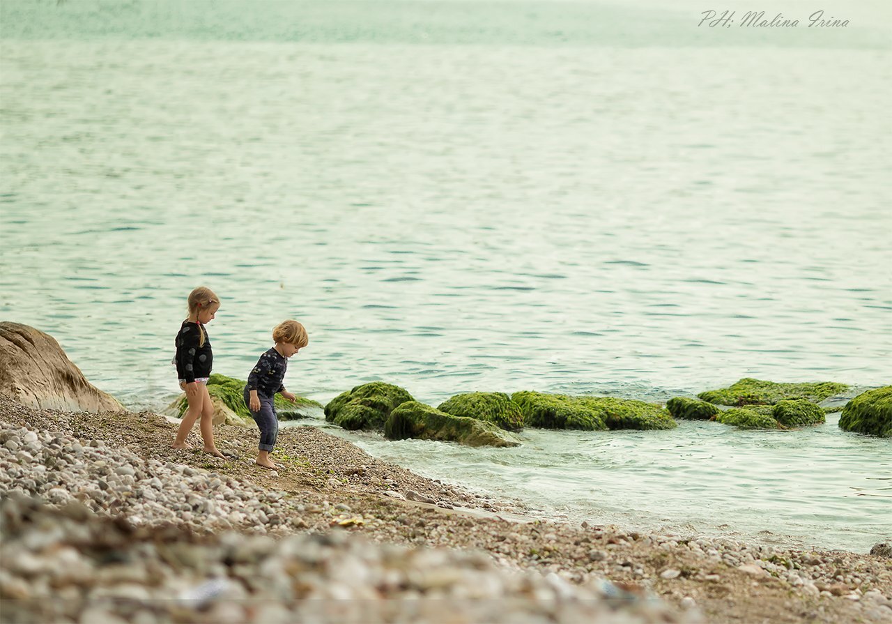 Photo #4138369