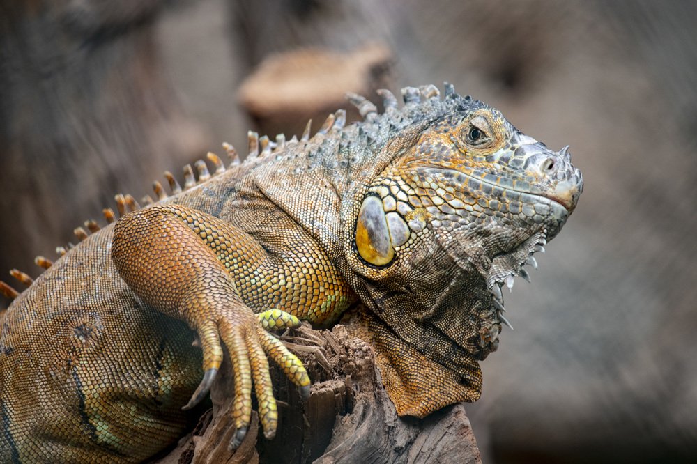 Photograph by ahmet gökhan alpacar