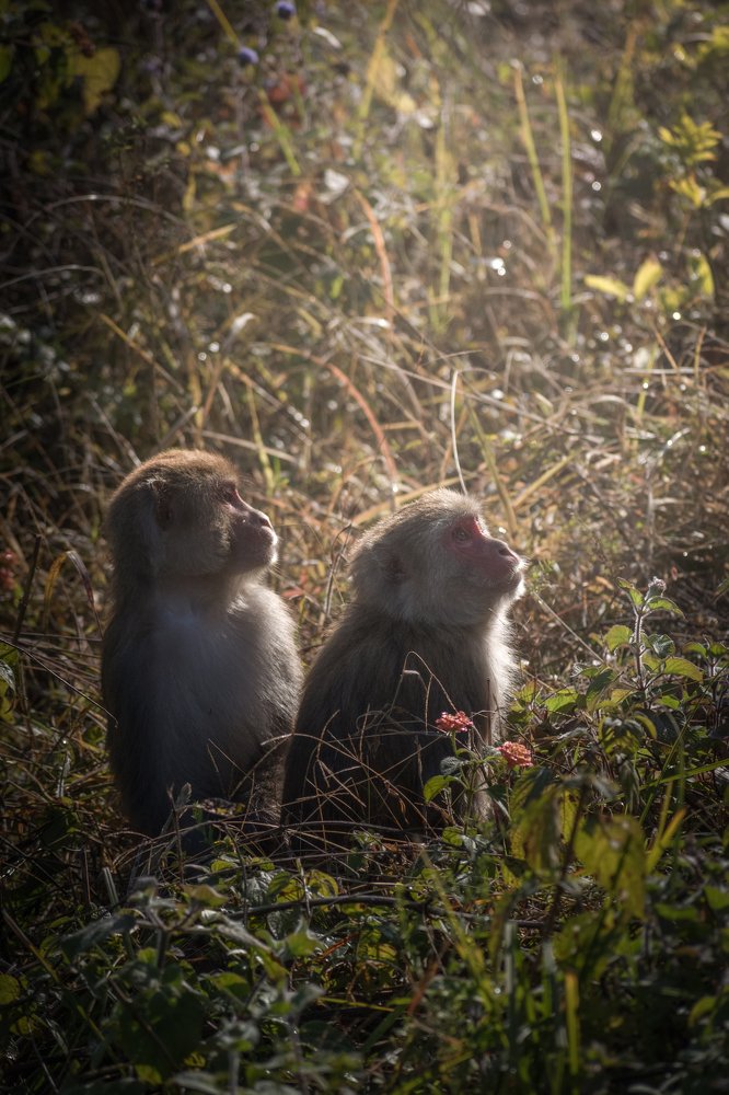 Photograph by Antarjit Singh