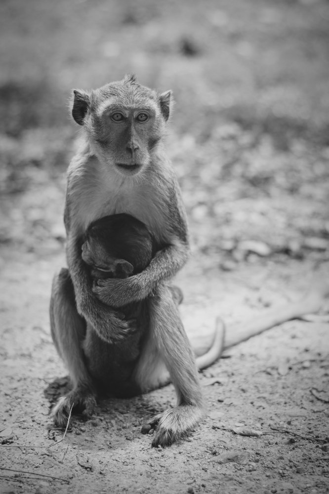 Фотография автора Екатерина Григорьева