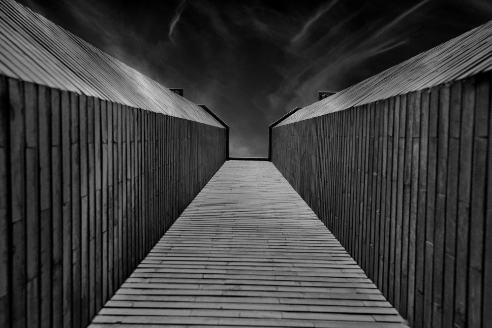 Photograph by Mohammad Ali Berenji