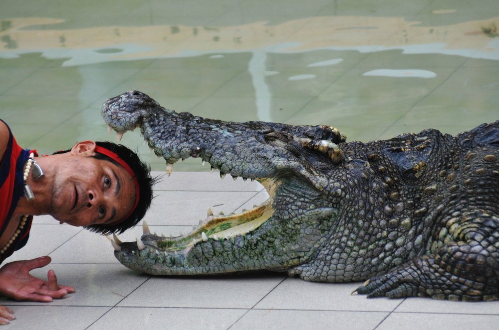 Photograph by Владислав Мягков