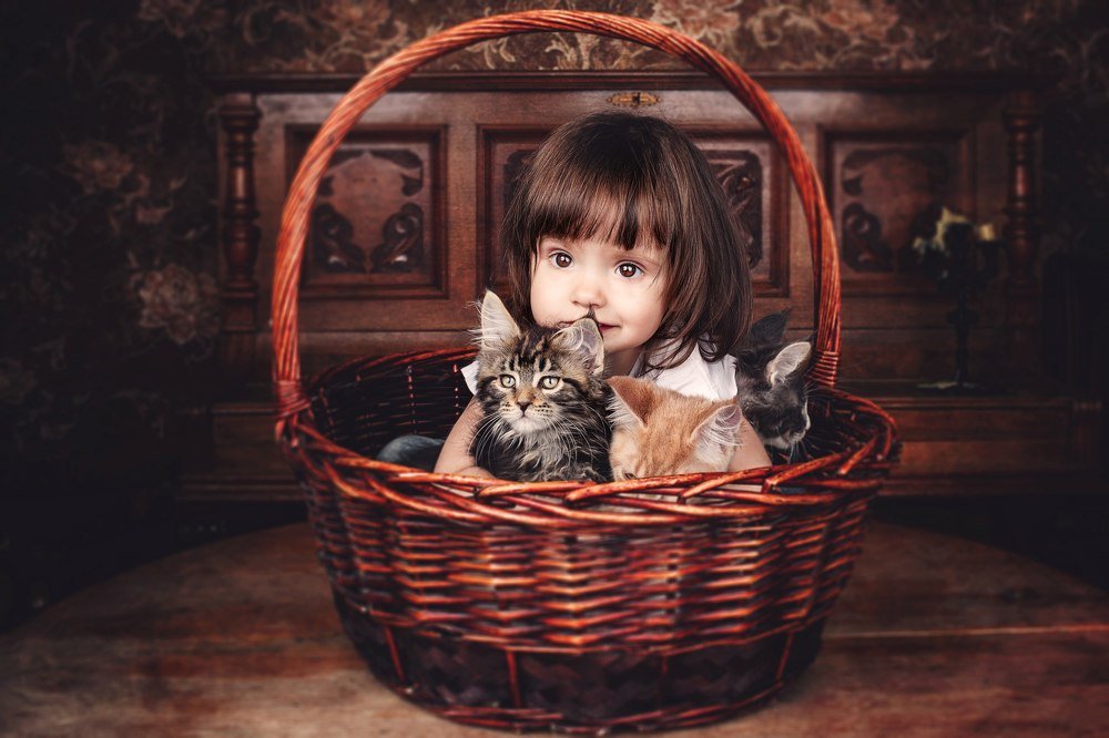 Photograph by Ольга Калимулина