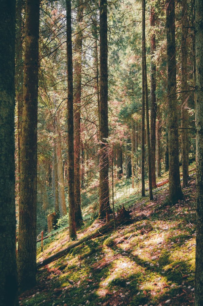 Photograph by Владимир Осипенко