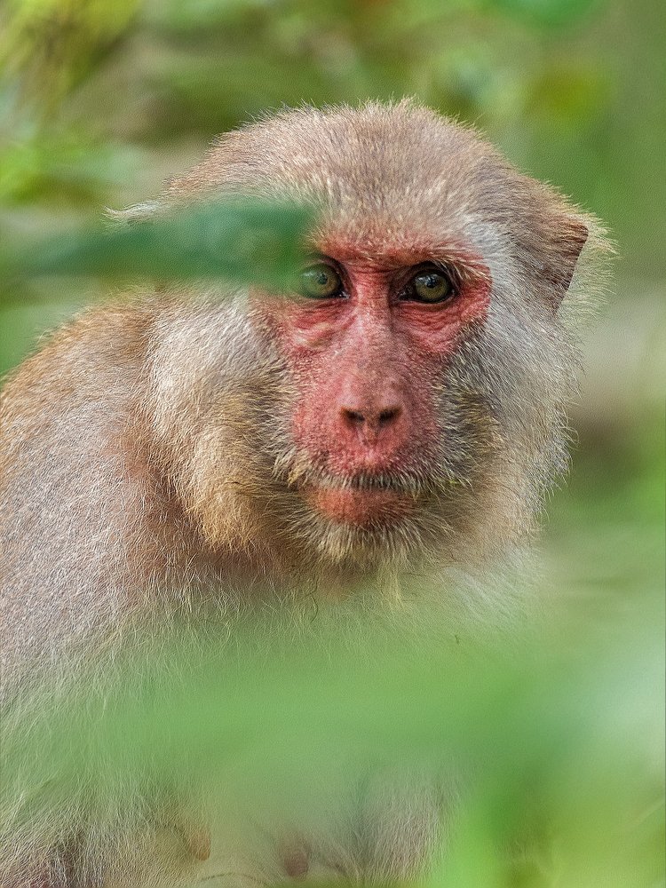 Photograph by Souvick Mukherjee