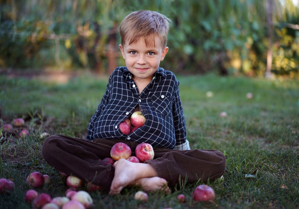 Бабушкин дачный помощник.