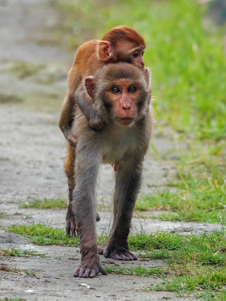 Photograph by Souvick Mukherjee