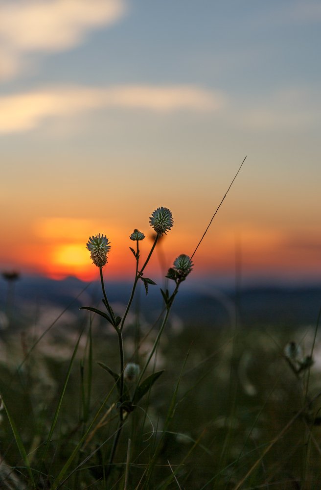 Photograph by Александр Ильин