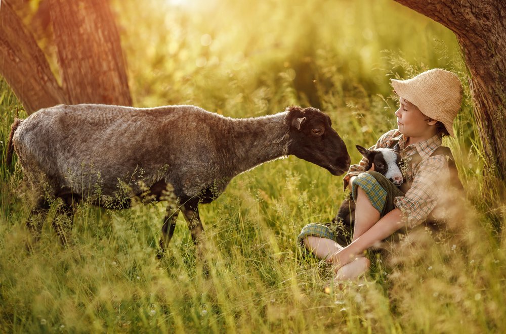 Photograph by Любовь Махиня