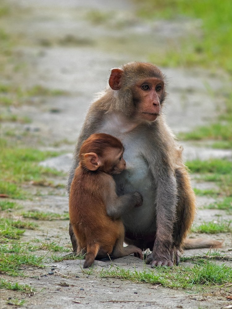 Photograph by Souvick Mukherjee