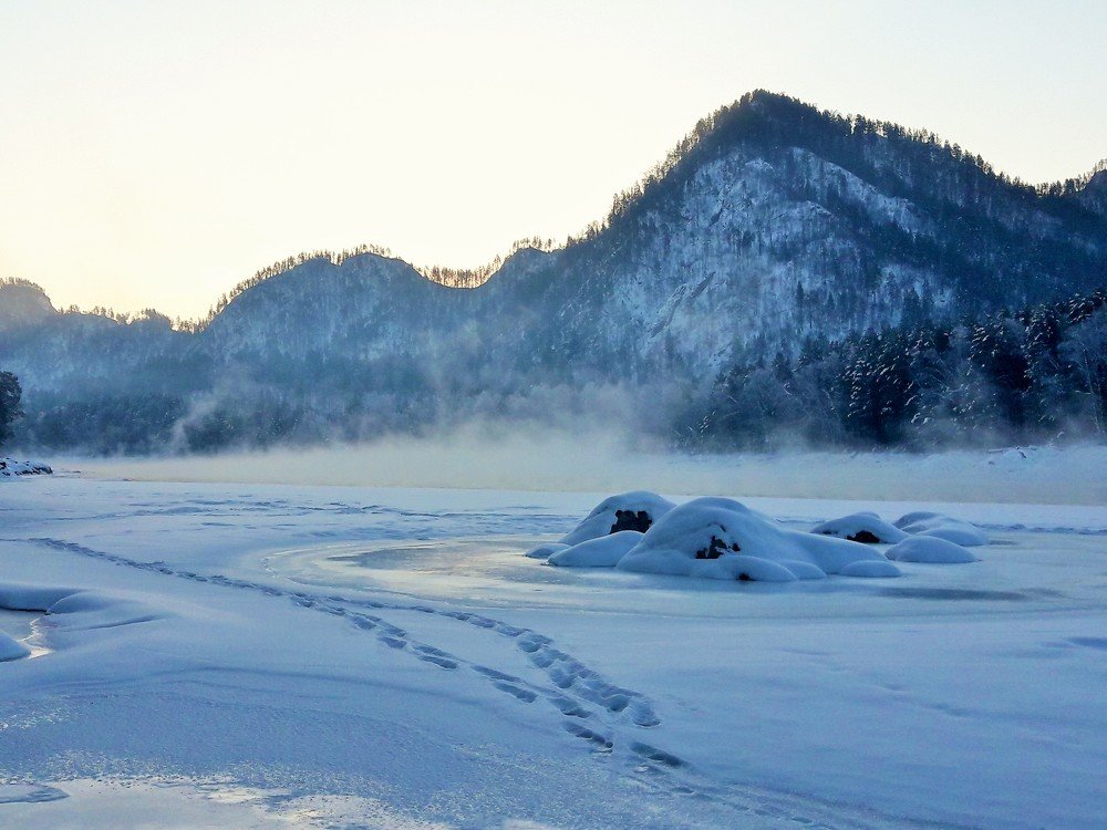 Photograph by Фурсова Людмила