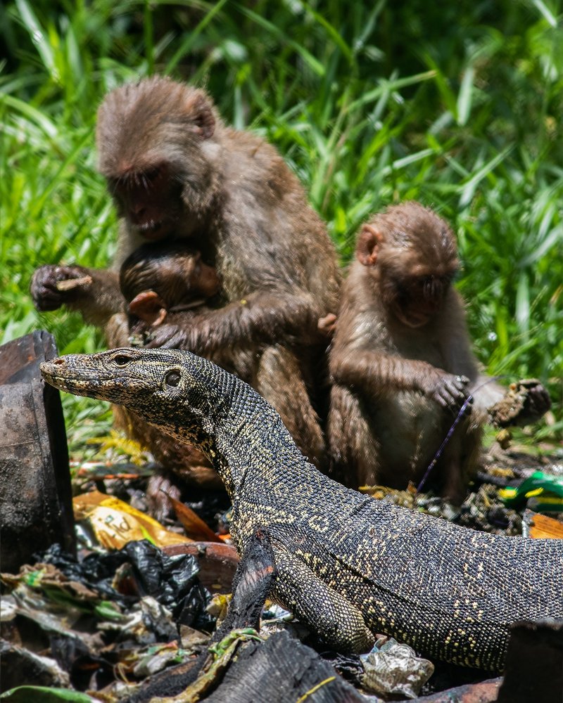 Photograph by Souvick Mukherjee