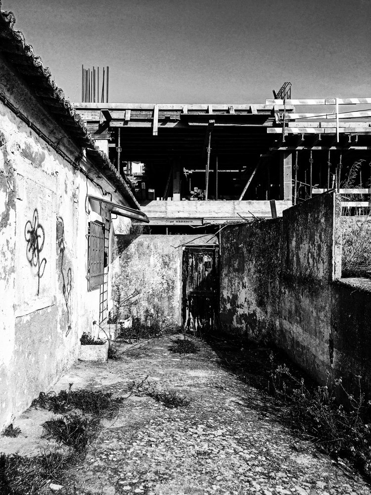 Photograph by Carolina Martins