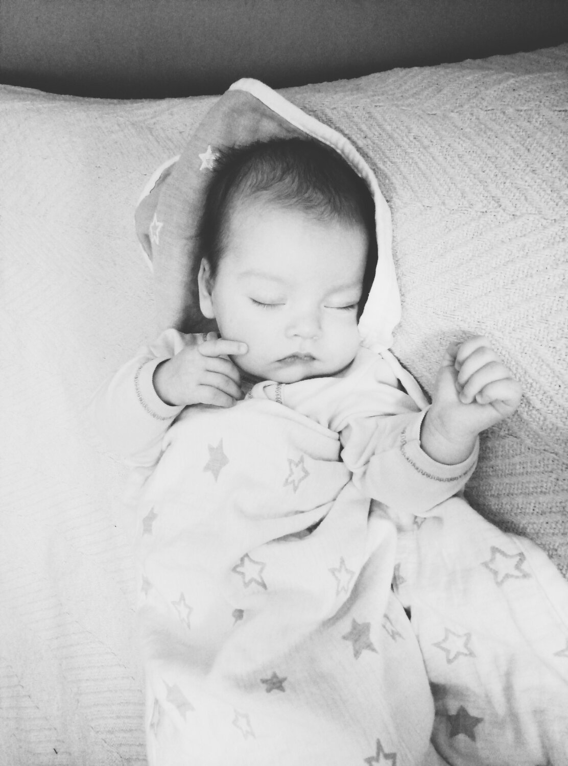 Photo #4139225