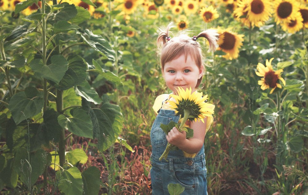 Photograph by Наталья Мищенко