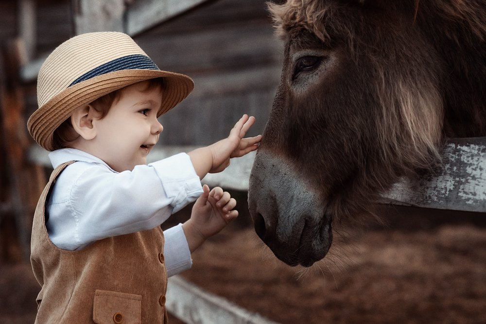 Photograph by Татьяна Золотых