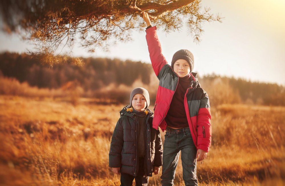 Осенний свет