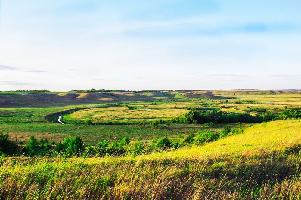 Photograph by Светлана Гуськова