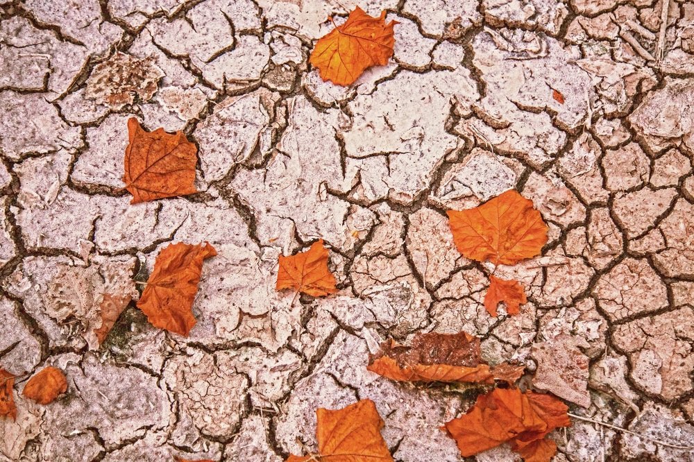 Photograph by Bella Grace