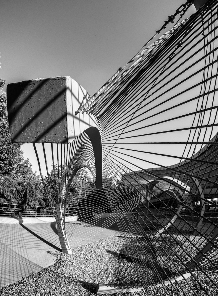 Photograph by Farshad Yazdankhah