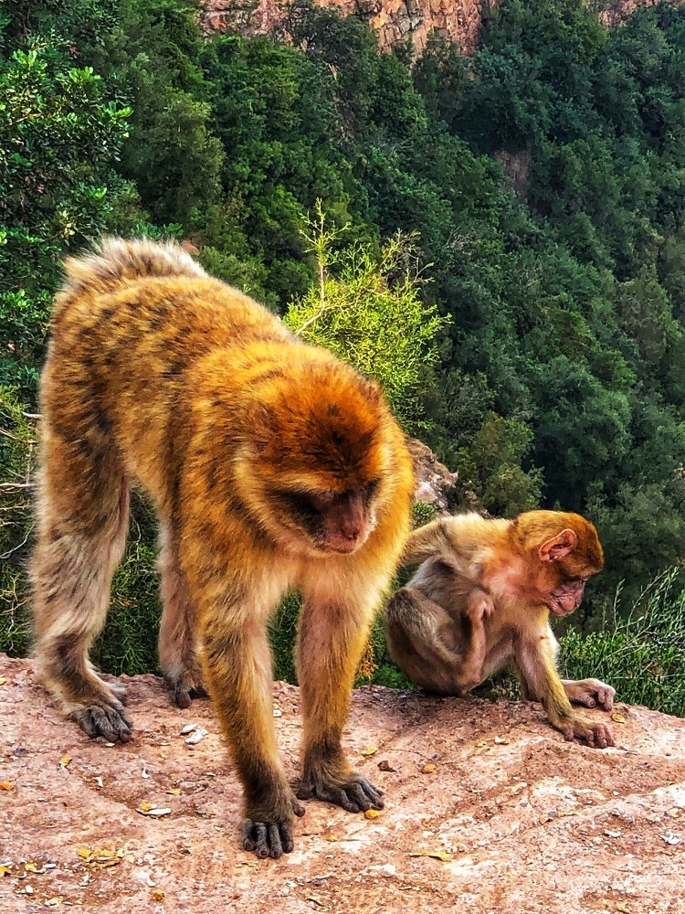 Photograph by Marco Galli