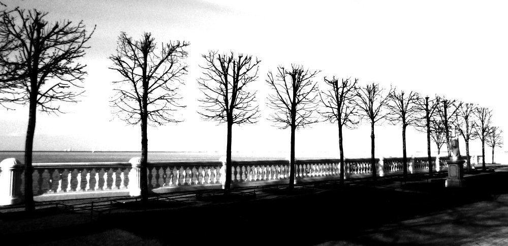 Весенние новобранцы